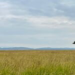 Uganda June Uganda June